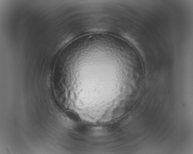 X0000054370153200508121549