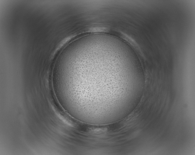 X0000054370155200508121549