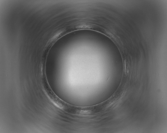 X0000054370157200508121549