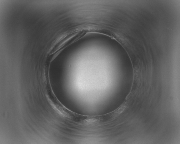 X0000054370158200508121549