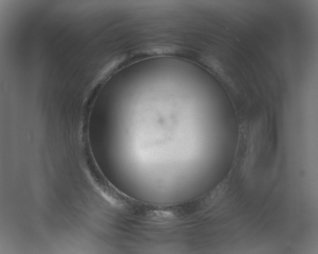 X0000054370159200508121549