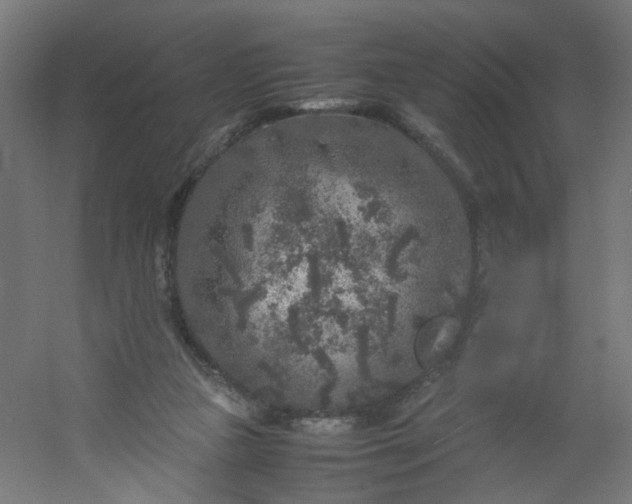 X0000054370161200508121549