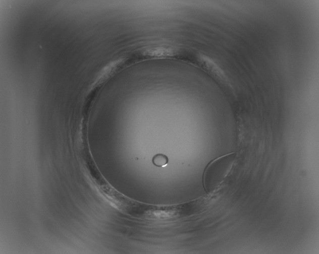 X0000054370163200508121549