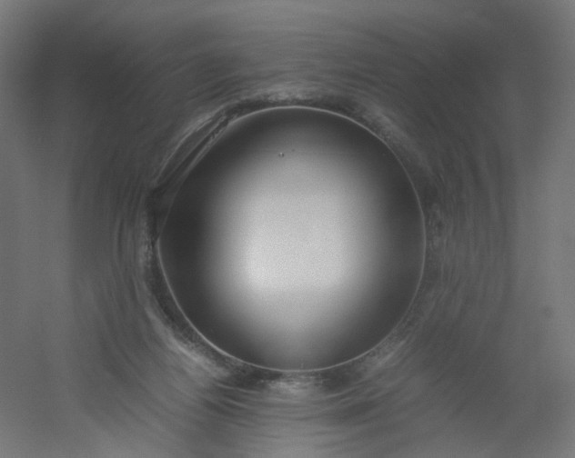 X0000054370164200508121549