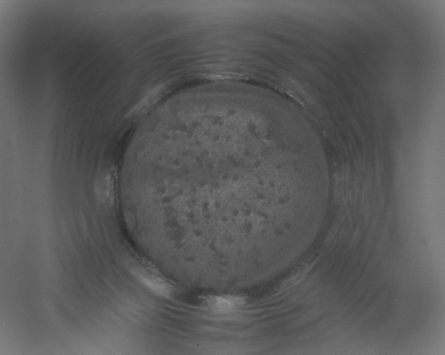 X0000054370165200508121549