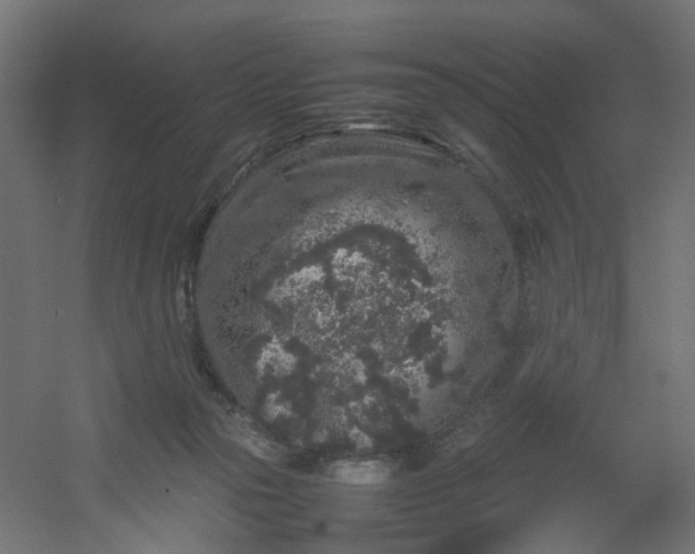 X0000054370169200508121549