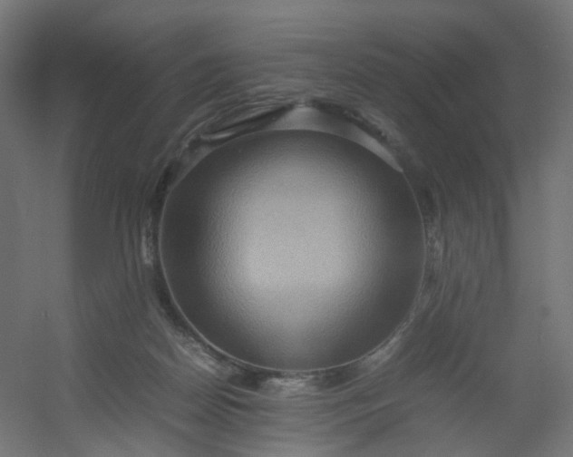 X0000054370170200508121549