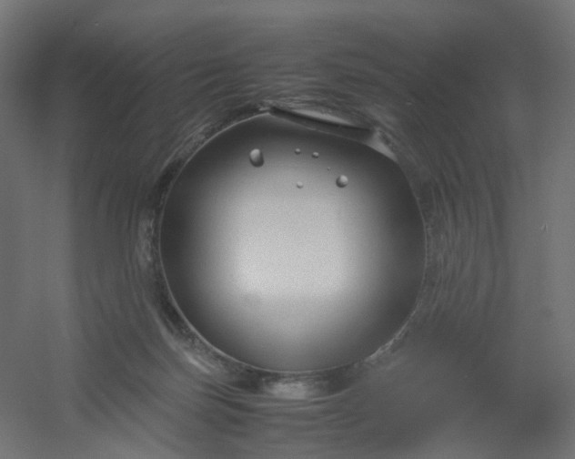 X0000054370171200508121549