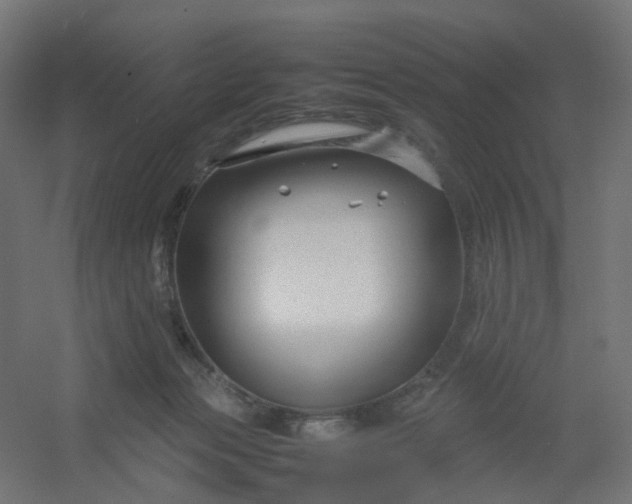 X0000054370173200508121550