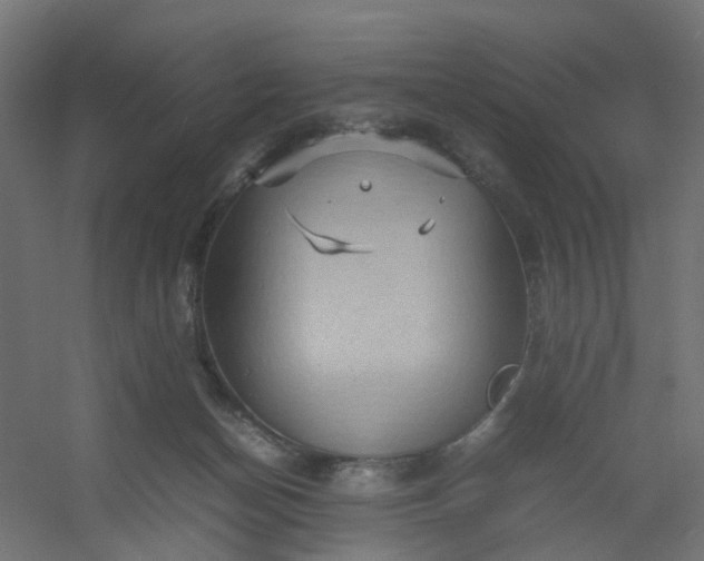 X0000054370174200508121550