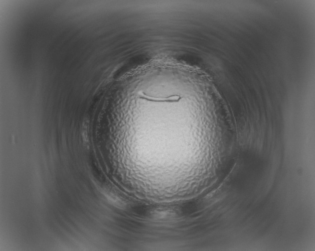 X0000054370175200508121550