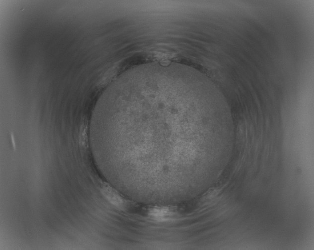 X0000054370177200508121550