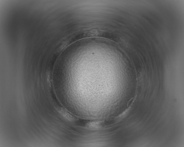 X0000054370178200508121550