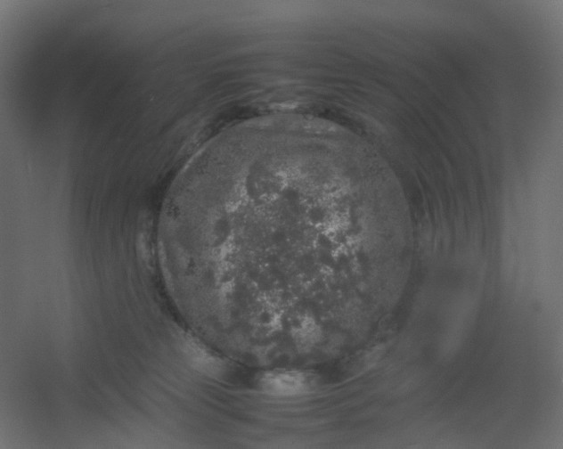 X0000054370181200508121550