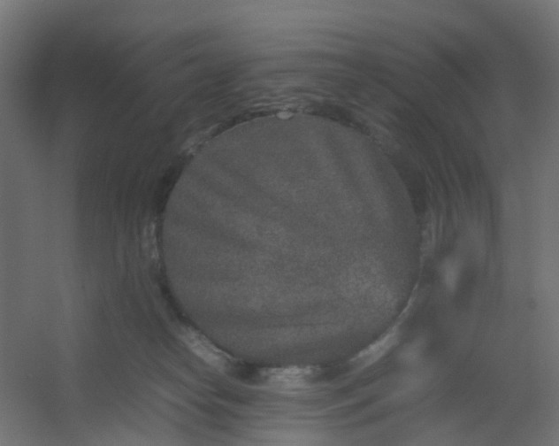 X0000054370182200508121550