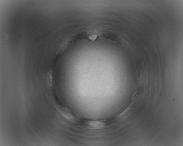 X0000054370183200508121550