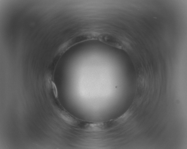 X0000054370188200508121550