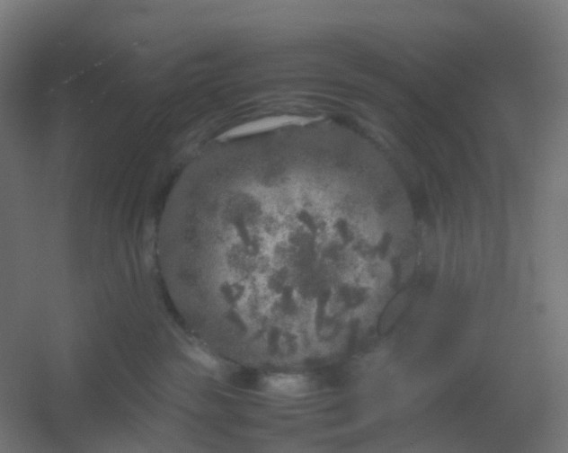 X0000054370189200508121550