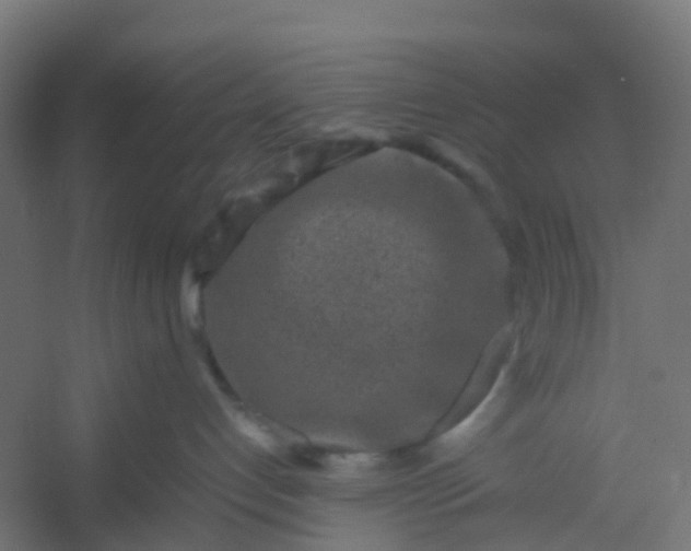 X0000054370192200508121550