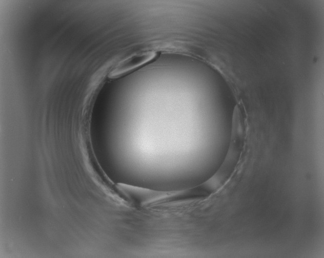 X0000054370193200508121549