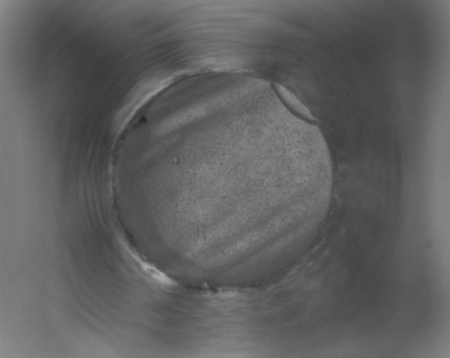 X0000054370194200508121549