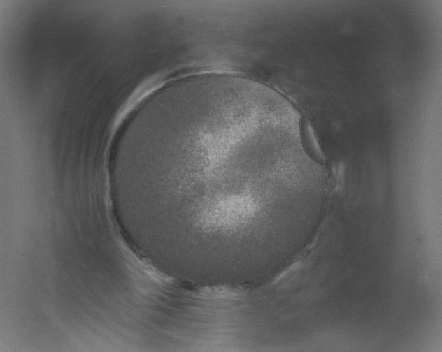 X0000054370198200508121549