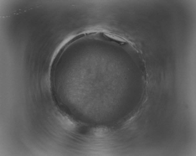 X0000054370200200508121549