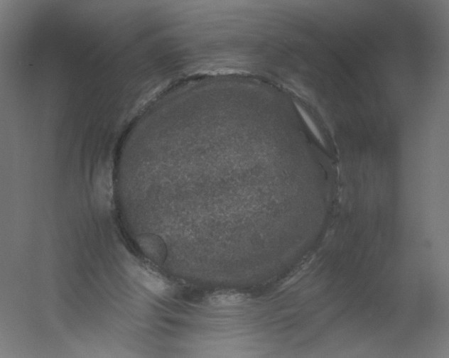 X0000054370202200508121549