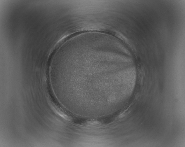 X0000054370203200508121549