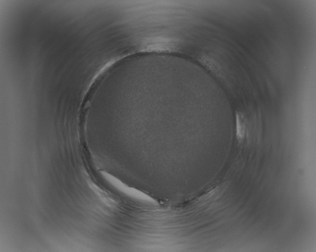 X0000054370204200508121549