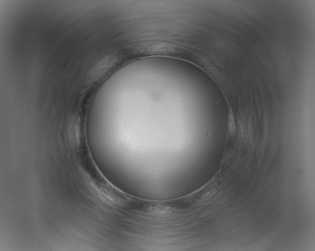 X0000054370206200508121549