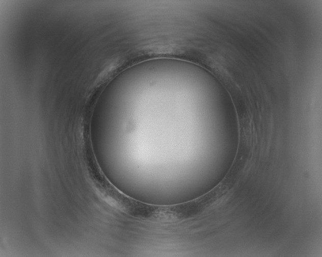 X0000054370207200508121549