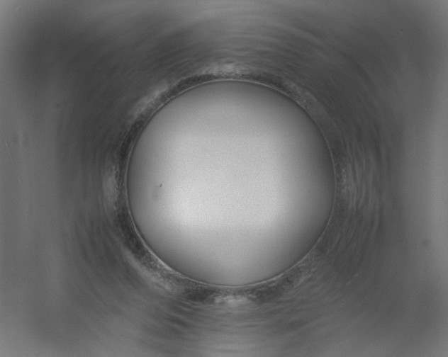 X0000054370208200508121549