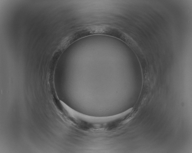 X0000054370209200508121549