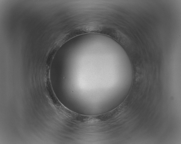 X0000054370210200508121549