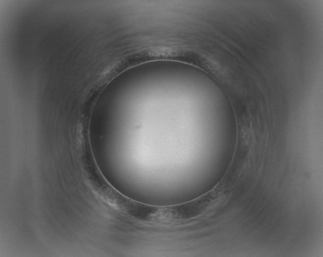 X0000054370211200508121549