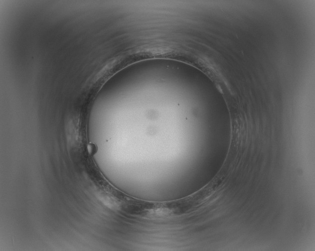 X0000054370212200508121549