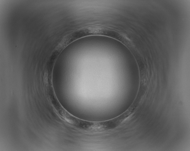 X0000054370213200508121549