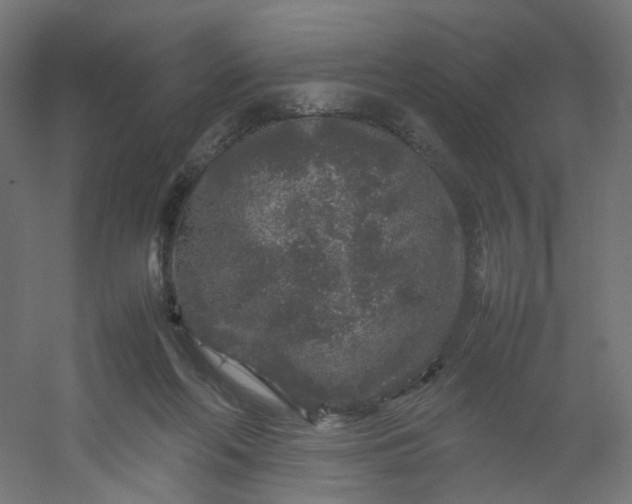 X0000054370214200508121549