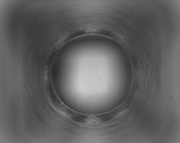 X0000054370215200508121549