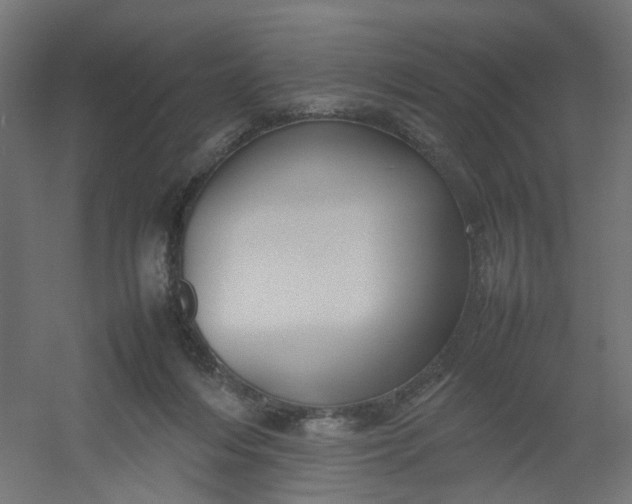 X0000054370216200508121549