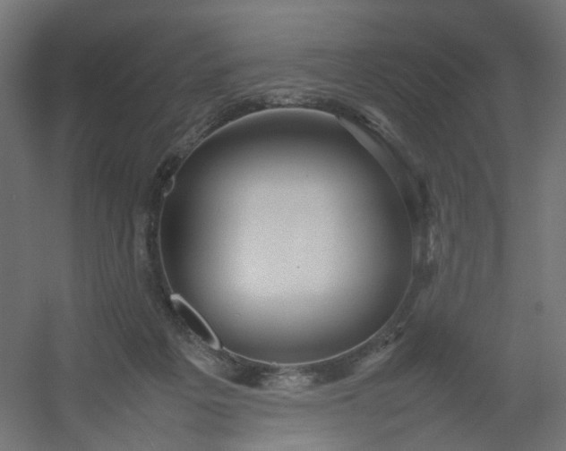 X0000054370217200508121549