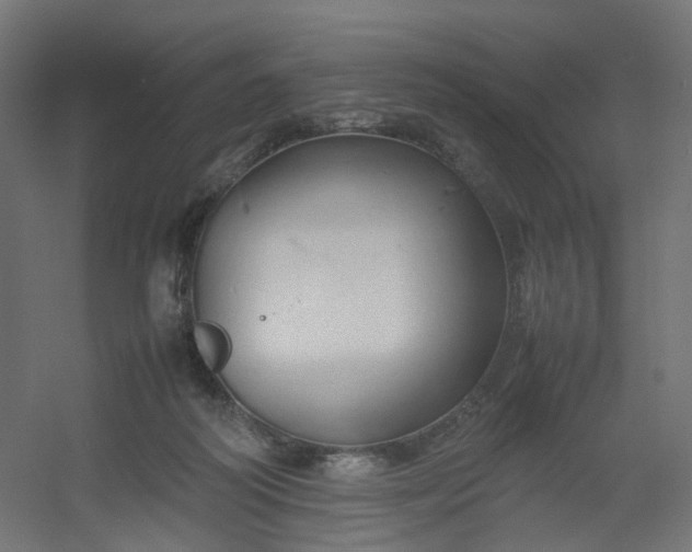 X0000054370218200508121549