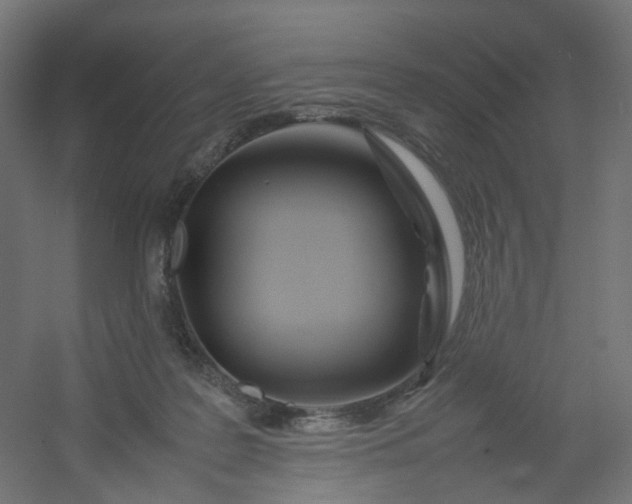 X0000054370219200508121549