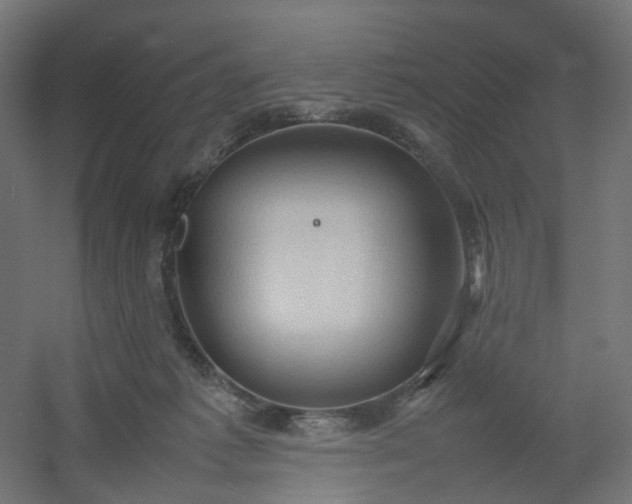 X0000054370221200508121549