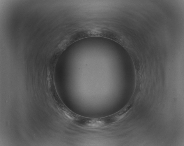 X0000054370223200508121549