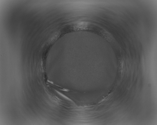 X0000054370224200508121549