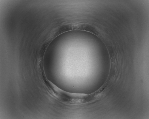 X0000054370225200508121548