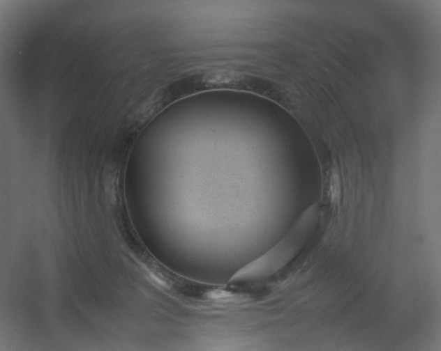 X0000054370227200508121548