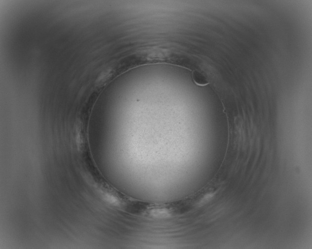 X0000054370228200508121548